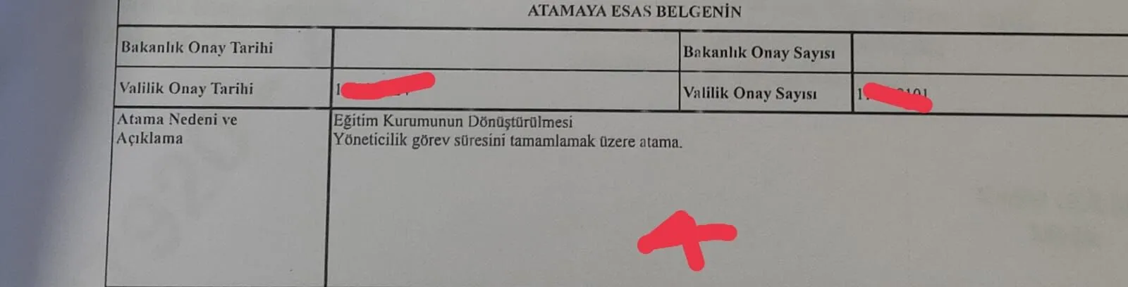 7E907Ef7 Eade 448B 9321 13922Eecd83F