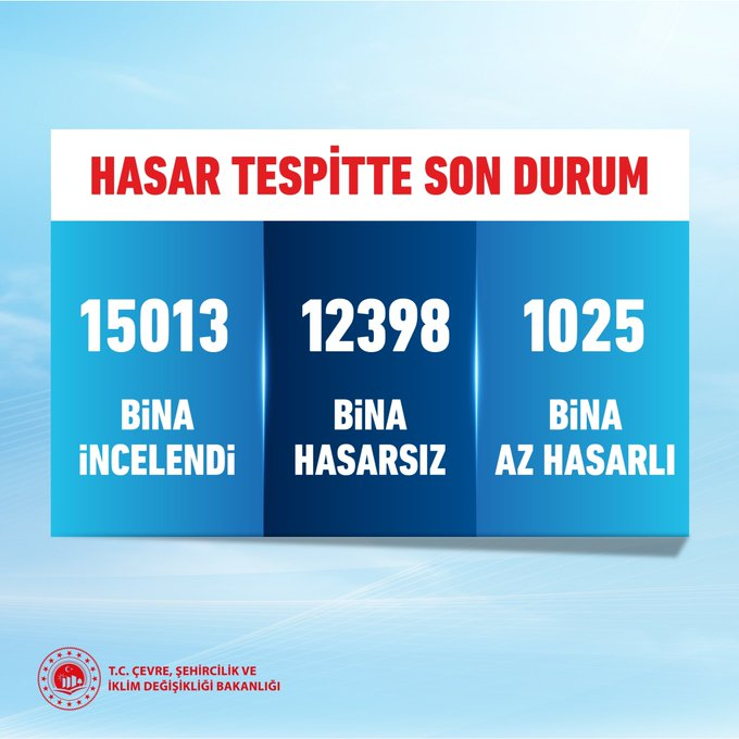 Image (1)