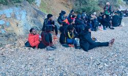 Fethiye'de 54 düzensiz göçmen yakalandı