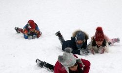 O ilçelerde kar yağışı nedeniyle okullar tatil edildi