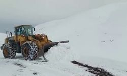 Siirt’te yoğun kar yağışı nedeniyle köy yolları ulaşıma kapandı