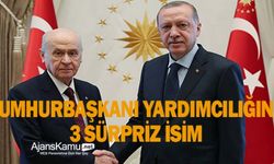 Erdoğan'ın cumhurbaşkanı yardımcılığına 3 sürpriz isim