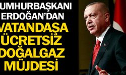 Cumhurbaşkanı Erdoğan'dan Vatandaşlara Ücretsiz Doğalgaz Müjdesi