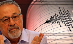 Prof. Dr. Naci Görür: Muğla fayında depremler doğudan batıya göç ediyor