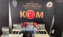 Şırnak'ta terörün finans kaynaklarına operasyon: 59 gözaltı