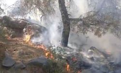 Mersin’de orman yangını, 4 dönüm zarar gördü