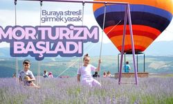 Tekirdağ'da mor turizm başladı: Buraya stresli girmek yasak
