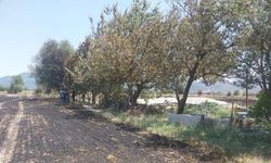 Burdur’da aynı günde ikinci arazi yangını: 8 dönüm arazi yandı