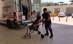 Bursa’da yaşlı kadına köpek saldırdı