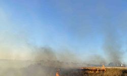 Malatya’da anız yakılması yasaklandı