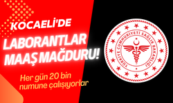 Kocaeli'nde Taşeron Laborantlar Maaş Mağduriyeti yaşıyor!