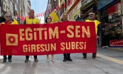 Kamu Emekçisi Sahipsiz Değildir, Mücadeleyi Büyüteceğiz