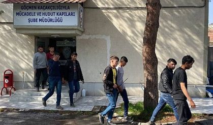 Erzincan’da 8 kaçak göçmen ile 4 organizatör şüphelisi yakalandı