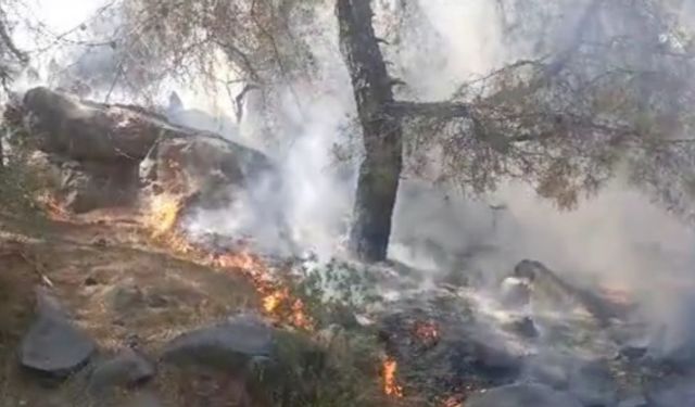 Mersin’de orman yangını, 4 dönüm zarar gördü