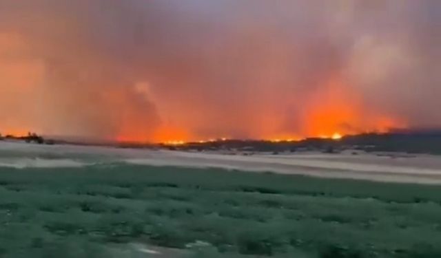 Yunanistan’ın Türkiye sınırında orman yangını