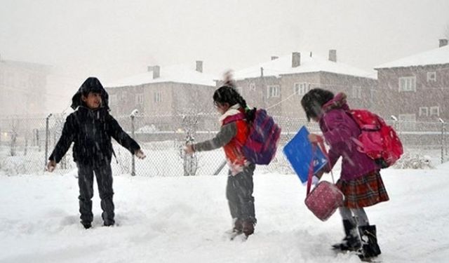 Tam 7 ilçede kar yağışı dolayısıyla okullar 1 gün süreyle tatil edildi