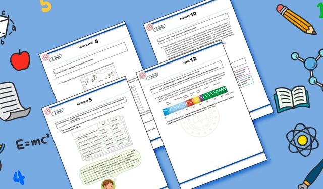 MEB 2024-2025 1. Dönem 2. Yazılı Sınavları Örnek Soruları