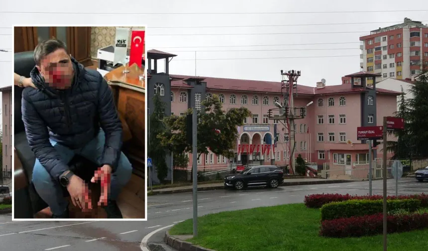 Bu Vandallar Nasıl Serbest Bırakılır?